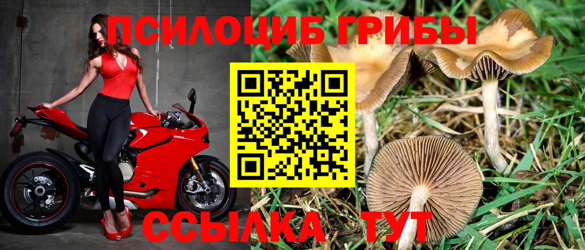Псилоцибиновые грибы Magic Shrooms  наркотики  Псилоцибиновые грибы Psilocybe  Благодарный  Вход с VPN 