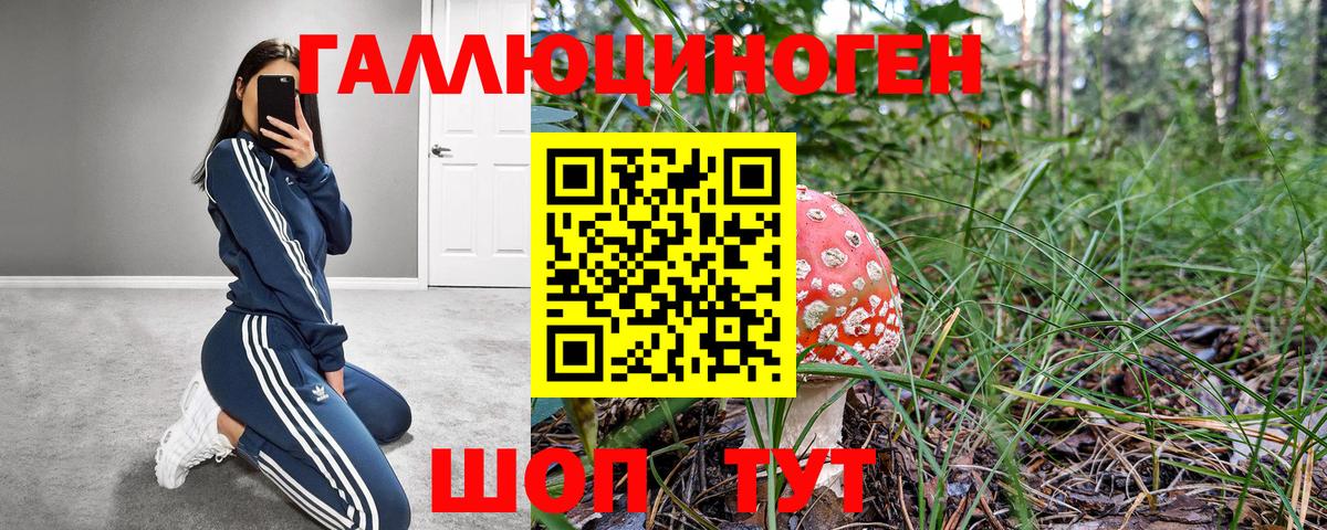 Псилоцибиновые грибы GOLDEN TEACHER Благодарный